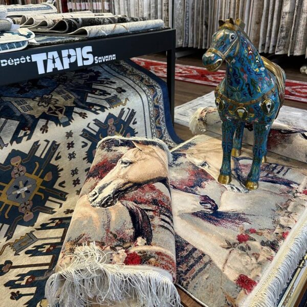 Dépôt Tapis Savana photo 6